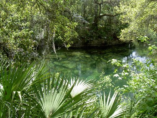 Hot Spring - Another view of the hotspring that keeps the water warm at Blue Springs National Park. Some people scuba dive in this spring.