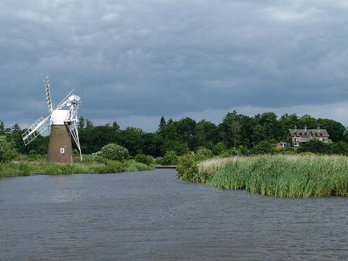 Norfolk Broads - The Broads are Britain's largest protected wetland and  are home to a wealth of wildlife, especially birdlife.  Amongst the waterfowl: Mallard, Coot, Moorhen, Great Crested Grebe, Greylag Goose, Canada Goose, Egyptian Goose. Larger birds include Grey Heron, Cormorant, Kestrel, Sparrowhawk and Bittern.  The scarce Cetti's Warbler breeds in the Broads, and Britain's only breeding Common Cranes are found in the area. Among the rare insects is the Norfolk hawker, a dragonfly. Some of the broads are surrounded by fens,  i.e. reed and sedge beds. Norfolk reed from the broads  has been a traditional material for thatching houses.
