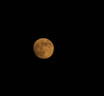 moon -  This picture is mine.I take it in Beijing.The moon is round isn't it?