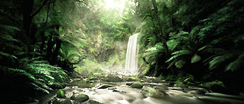 Hopetoun Falls - Hopetoun Falls – Beech Forest  Victoria of the Great Ocean Road