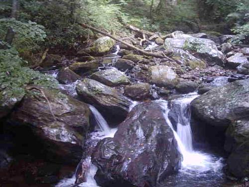 Anna Ruby Falls - A picture of the Anna Ruby Falls in Helen, GA. It's really beautiful there.