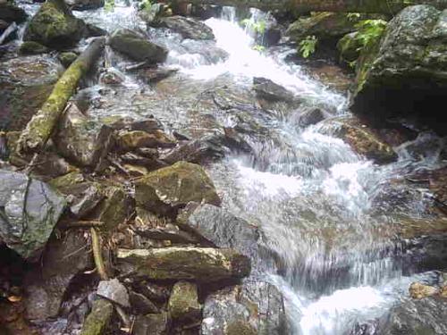 Anna Ruby Falls 2 - Another gorgeous picture of Anna Ruby Falls in Helen, GA.