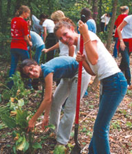 Community Service - Many ways of serving the community. Rise above self and serve the community.