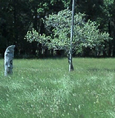 Carnac - One of the many standng stones