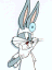 What's up, Doc? - rabbit