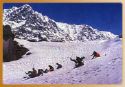 Himachal Pradesh - The Kangra valley in Himachal Pradesh