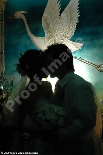 wedding day - wedding day picture