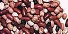 beans - Beans are an economical source of protein, and are high in fiber.