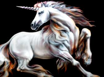 horse - fabolus mystery horse you ever seen before