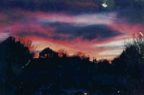 sunset in Arkansas - My wife took this photo one night, we're actually going to have it blown up and framed as a poster.