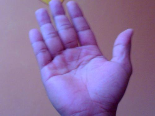 palm -  right palm