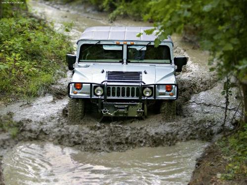 My car - This is my car in the year 2010