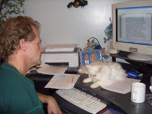 This is Mira on the desk in front of the computer. - Cat on a computer desk.