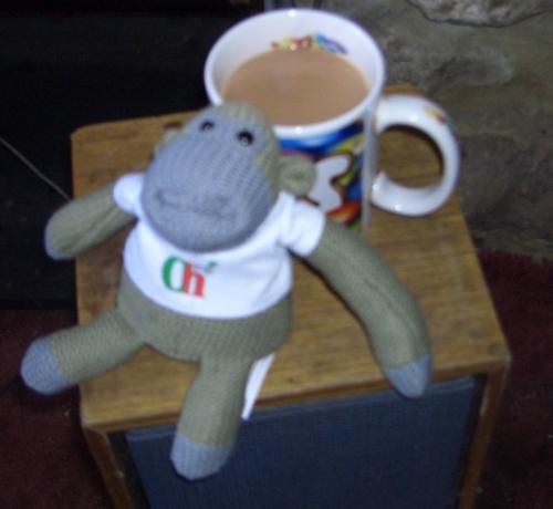 The Free PG tips chimp and Tea - This little toy chimp came free with my tea bags this week, he's a copy of the one they use on the British advert.