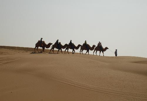 Desert in Inner Mongolia - Inner Mongolia is in the northern part of China. This photo was taken while riding the camel in the desert there.