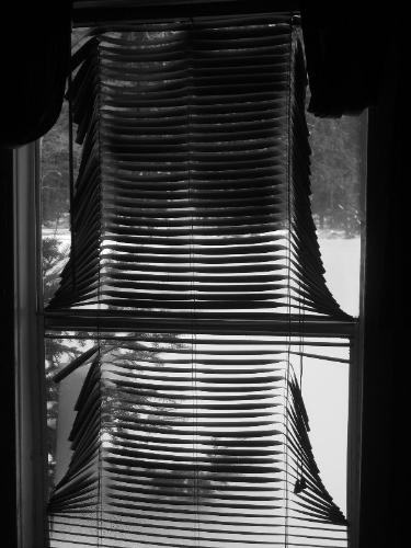 melted blinds - the heat of the sun between the window and the plastic melted our venetian blinds!