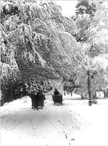 Winter in the old Bucharest - I am also a hopeless dreamer and I love the inter-war period.This is a picture taken in 1935...that says more than any of my words can say