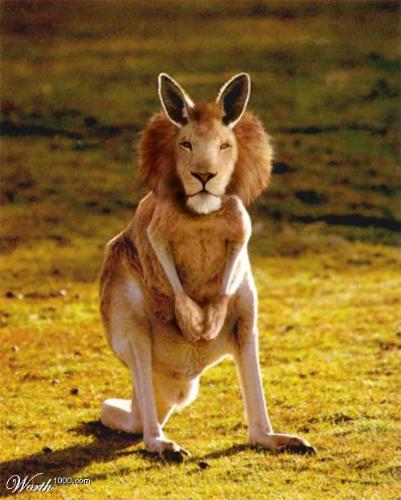 lionaroo - it sounds funny.is'nt is??????????ha ha ha.............