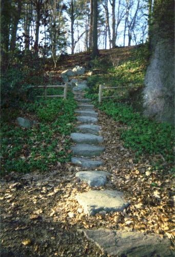 nature - A curious path