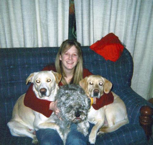 dogs - My favorite trio