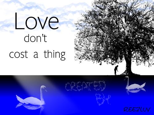 swan - swan in love