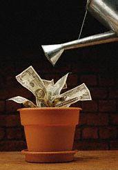 money - Lets try growing money on trees