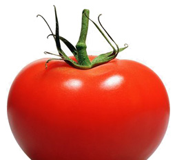 tomato - tomato is a fruit or a vegetable
