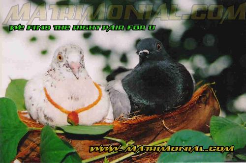 for matrimonial ad - u like the pic i took it for matrimonial ad in for my collage project