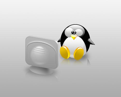 internet - Penguin is Shown In this Photo