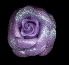 flower - purple flower