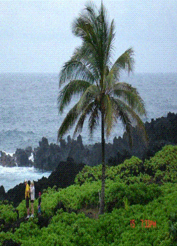 coast of Maui - This is a picture off the coast of Maui. Was a bit cloudy that day but still a beautiful shot.
