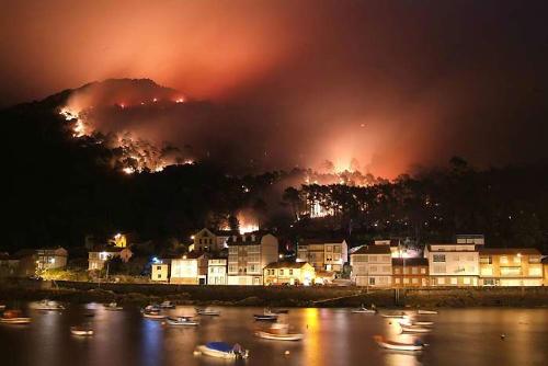 save nature - destruction of nature