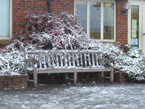 beautiful wintertime - simple bt perfect