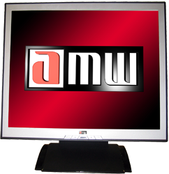 LCD AMW X1900DS 19&#039; monitor - The monitor I am currently using.