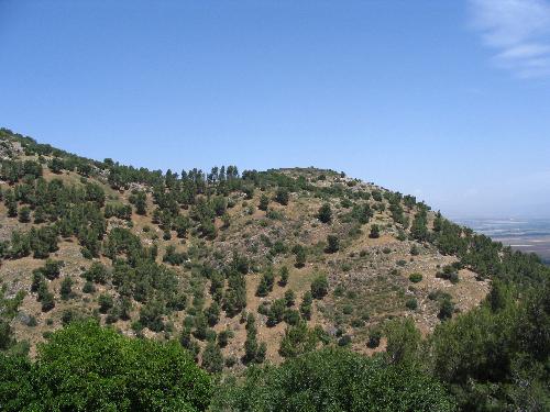 Israel - These hills are like a camel's back.