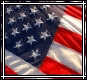 usa - flag