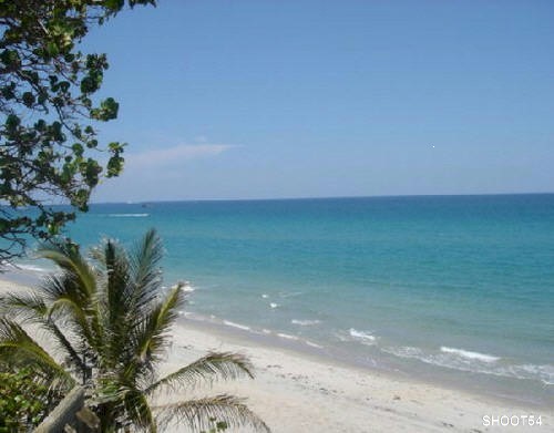 fl. beach - photo00525
