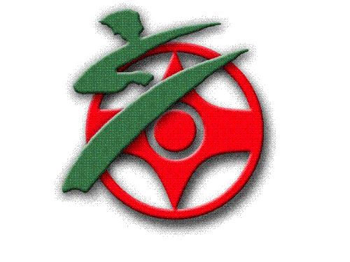 kyokushin full contact karate - im instructure