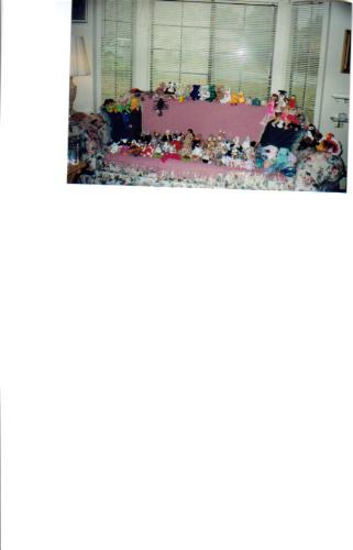 Collection - This is a collection of my beanie babies in the early stages of collecting.