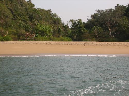 island - my private island