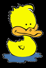 cute ducky - cute