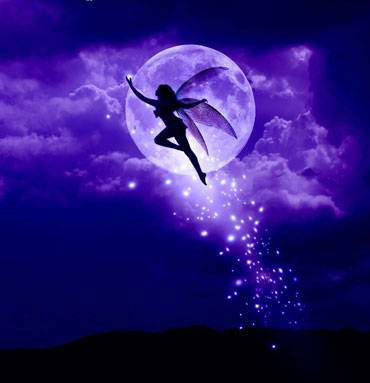 fairy - moon fairy