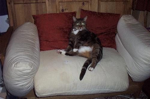 Moomin posing on the sofa - This is the lovely Moomin posing for the camera