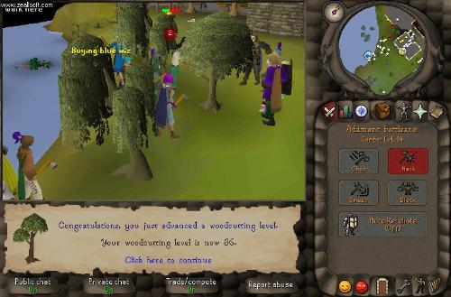 Runescapey pics - Lots of runescape photos