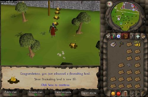 Runescapey pics - Lots of runescape photos