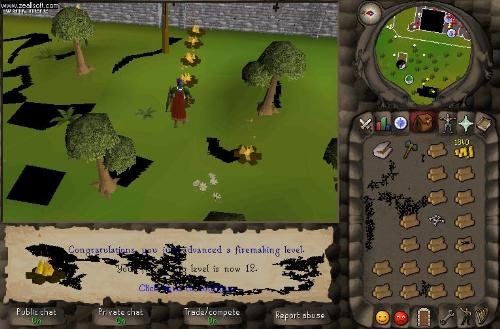 Runescapey pics - Lots of runescape photos