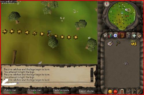 Runescapey pics - Lots of runescape