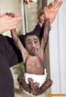monkey - baby monkey monkey - baby monkey