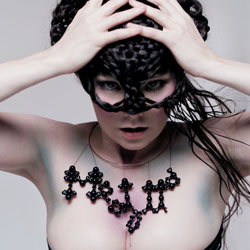 bjork - Bjork's 'medulla'
