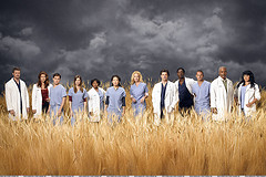 greys anatomy - this is the cast of greys anatomy in a field